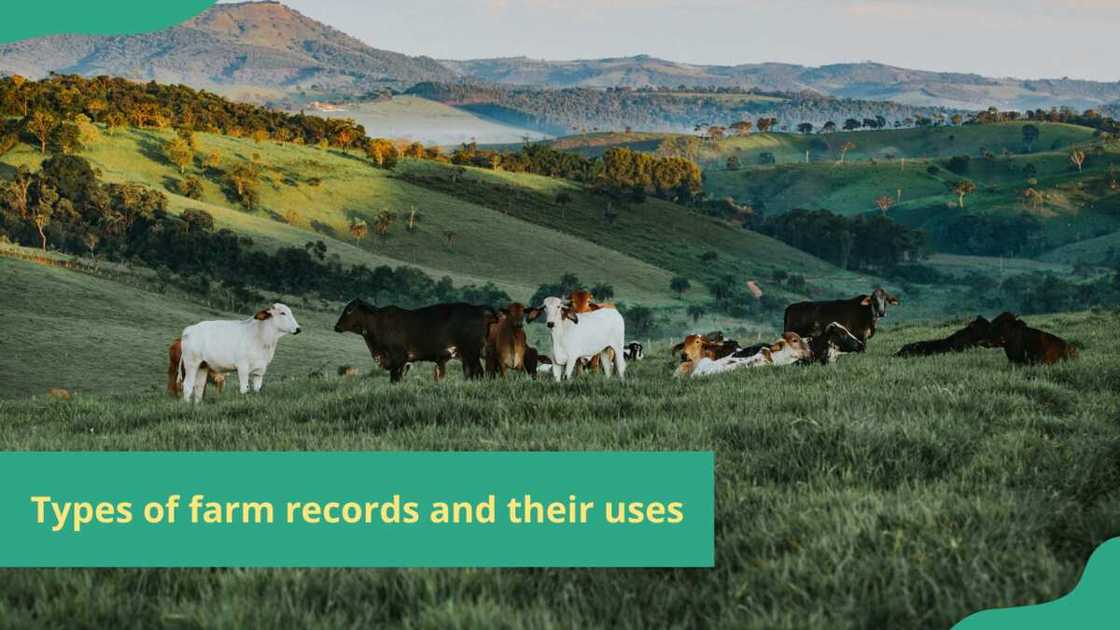 types of farm records types of farm records