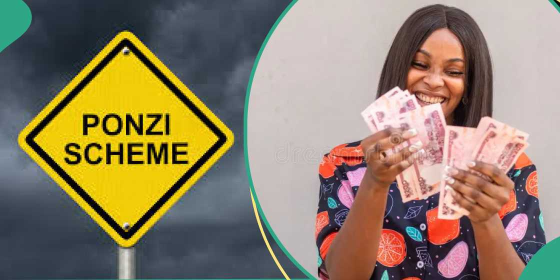 How to spot and avoid Ponzi scheme like CBEX How to spot and avoid Ponzi scheme like CBEX