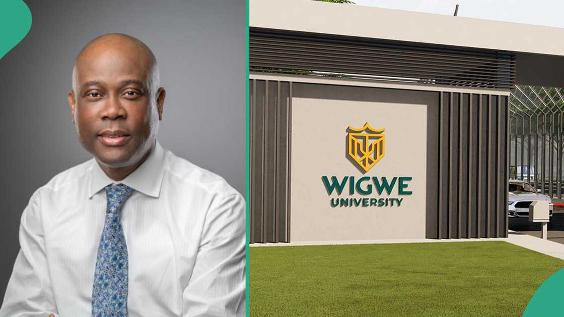 Wigwe University gains popularity. Wigwe University gains popularity.