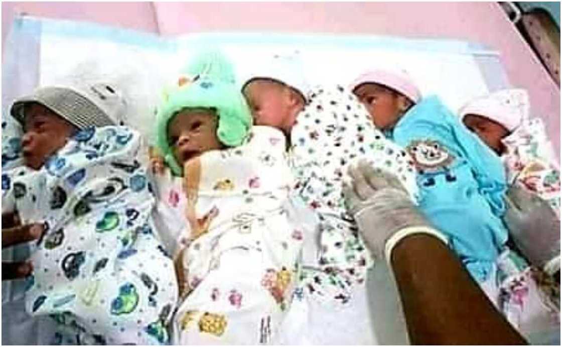 Okeigbo's quintuplets born after 18 years of waiting, later one baby died Okeigbo's quintuplets born after 18 years of waiting, later one baby died