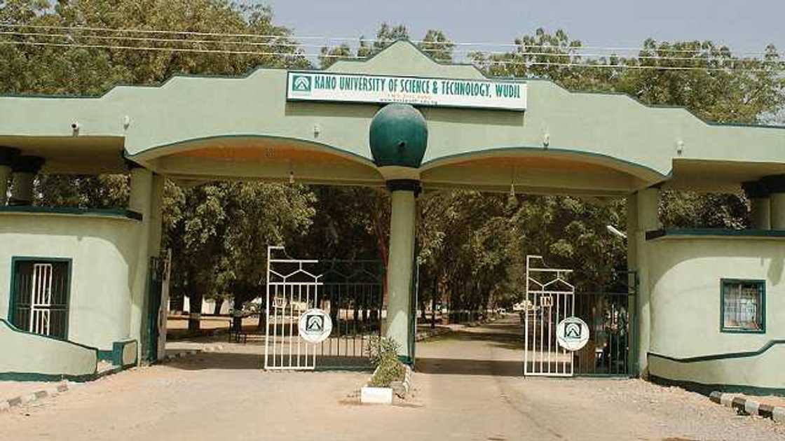 Kidnappers, Kano Village Head, Kano State University of Science and Technology