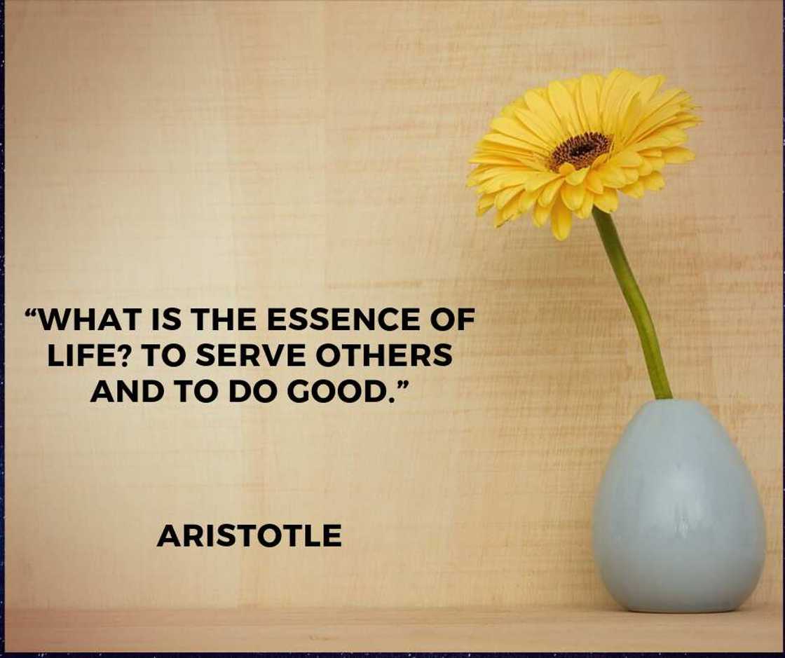Aristotle quotes about life