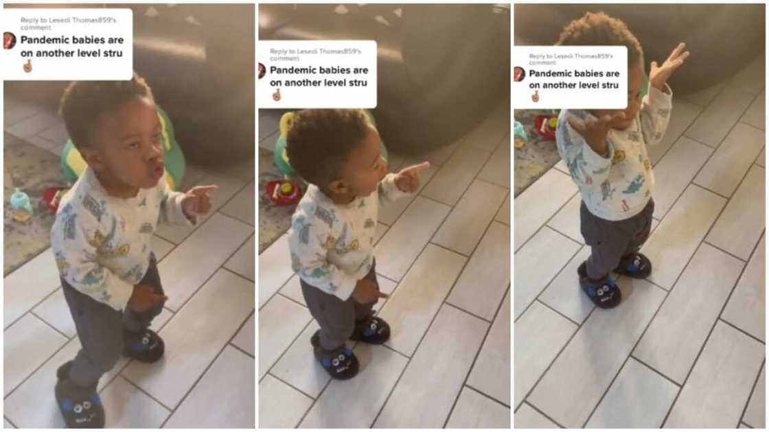 Little boy viral dance moves Little boy viral dance moves