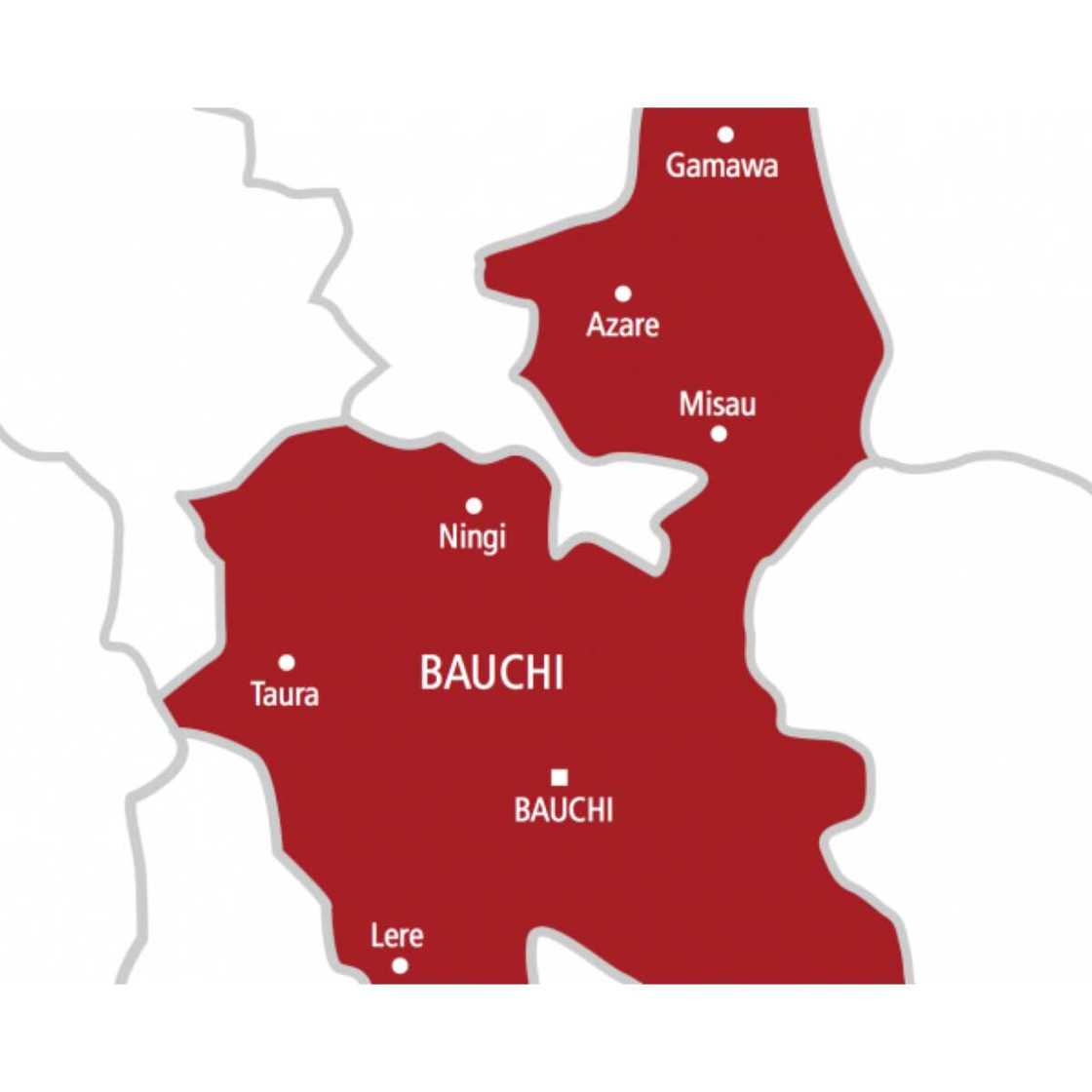 Taswirar Bauchi