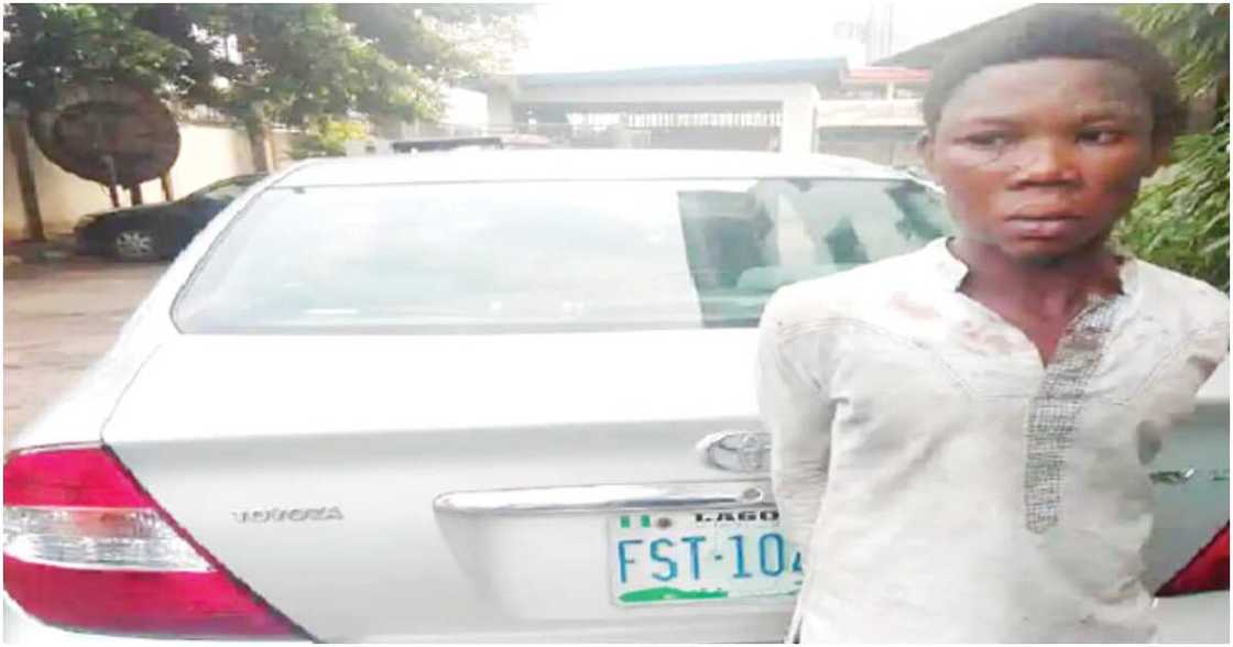 High Court, Lagos state, domestic worker High Court, Lagos state, domestic worker