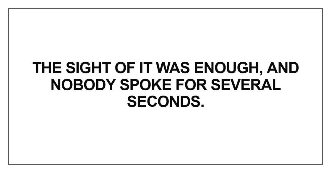 The sight of it was enough, and nobody spoke for several seconds The sight of it was enough, and nobody spoke for several seconds