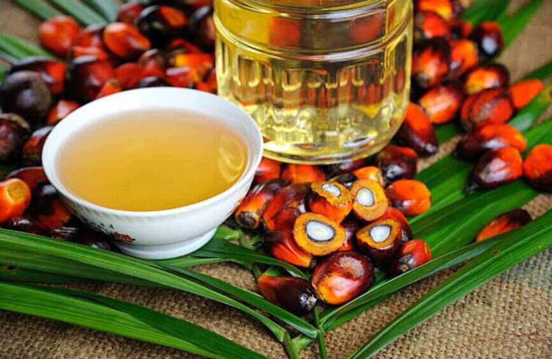 Palm oil products Palm oil products