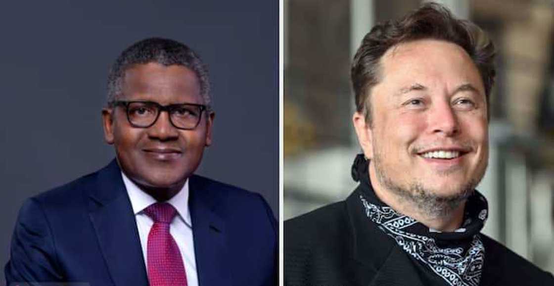 Sunayen biloniyoyi 87 na duniya: Dangote ya fi kowa kudi a Afrika, Elon Musk ya ninka shi sau 15