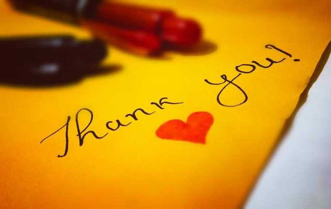 Thanking letter Thanking letter