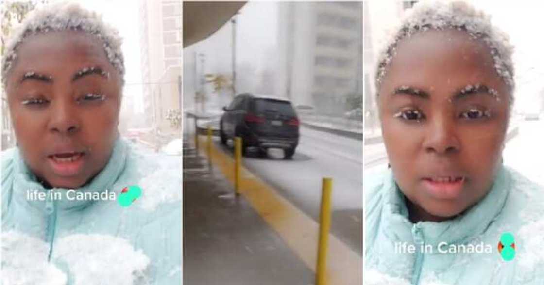 Black woman based in Canada, cold weather, snowfall Black woman based in Canada, cold weather, snowfall