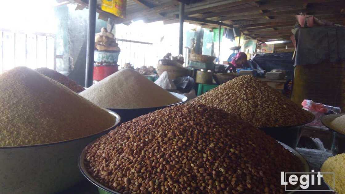 Waken suya zai sa yaranku su kara tsayi; in ji kwararriya a kimiyyar abinci Waken suya zai sa yaranku su kara tsayi; in ji kwararriya a kimiyyar abinci