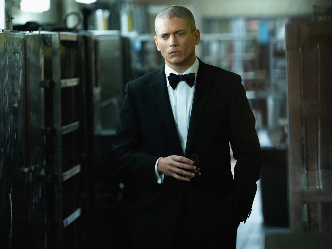 Wentworth Miller as Senator Mark Hanson Wentworth Miller as Senator Mark Hanson
