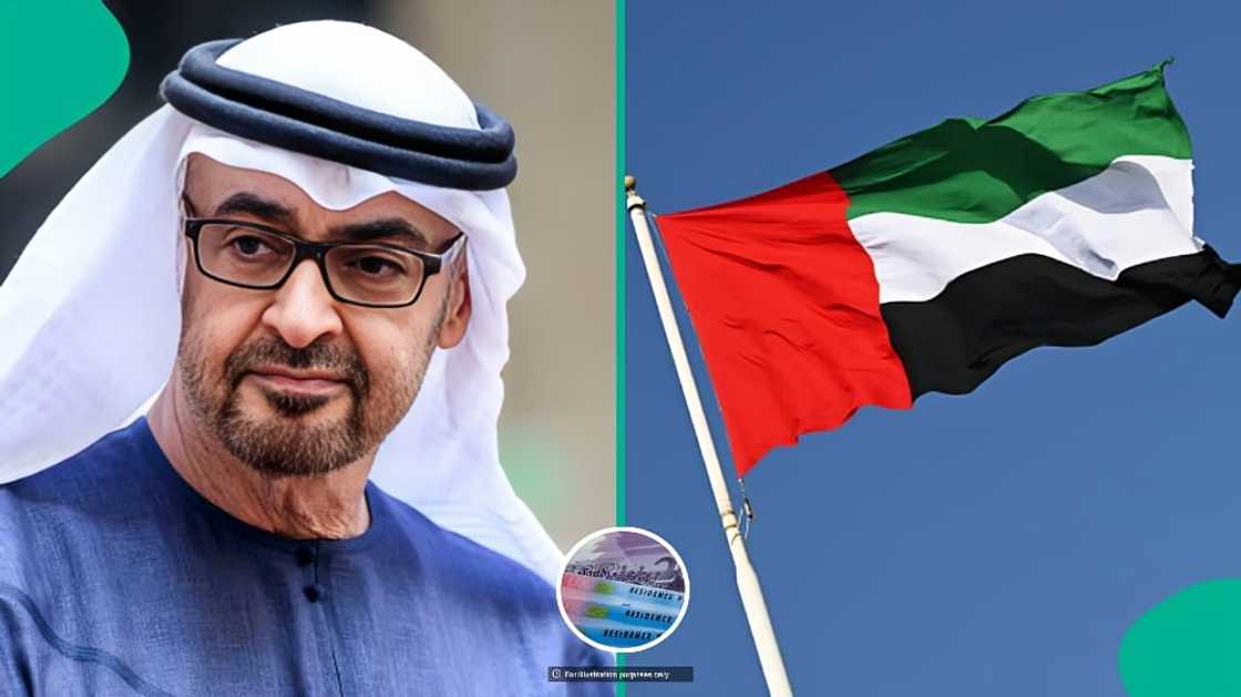 UAE, Netherlands, 3 other countries announce residency amounts for foreigners UAE, Netherlands, 3 other countries announce residency amounts for foreigners