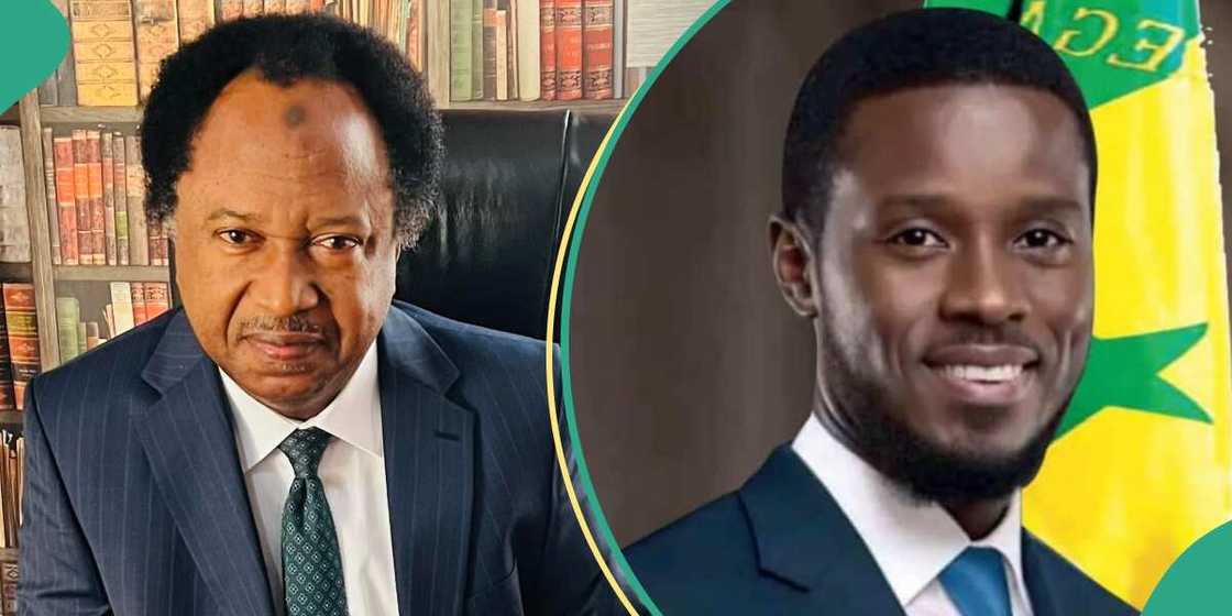 Shehu Sani reacts as 44-year-old Faye win Senegal’s presidential election