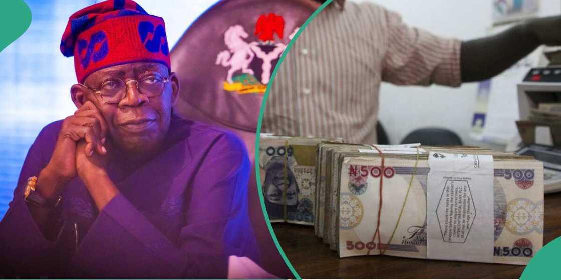 Naira among top three worst-performing currencies as report predicts direction in 2024