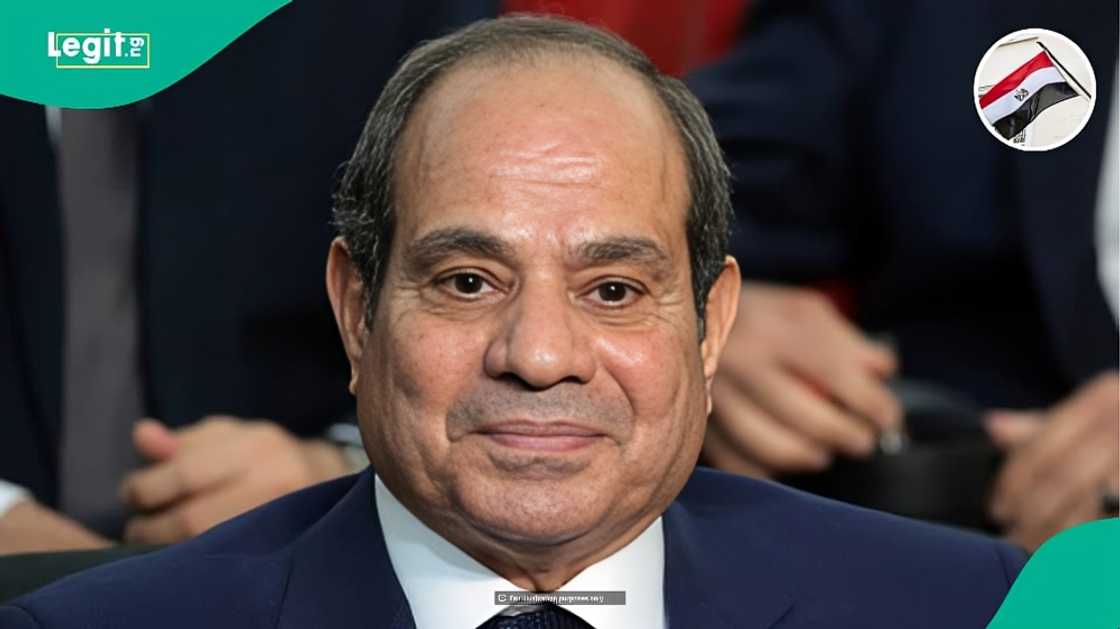 Egypt releases complete list of 8 items banned from importation into the country