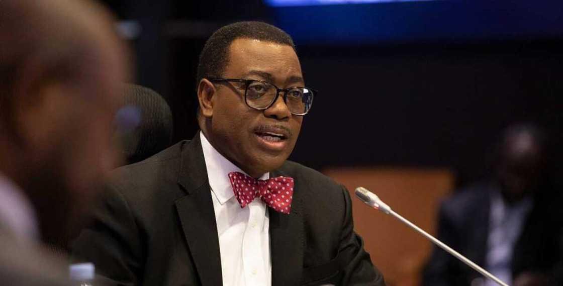 African development bank authorises independent probe of Akinwumi Adesina African development bank authorises independent probe of Akinwumi Adesina