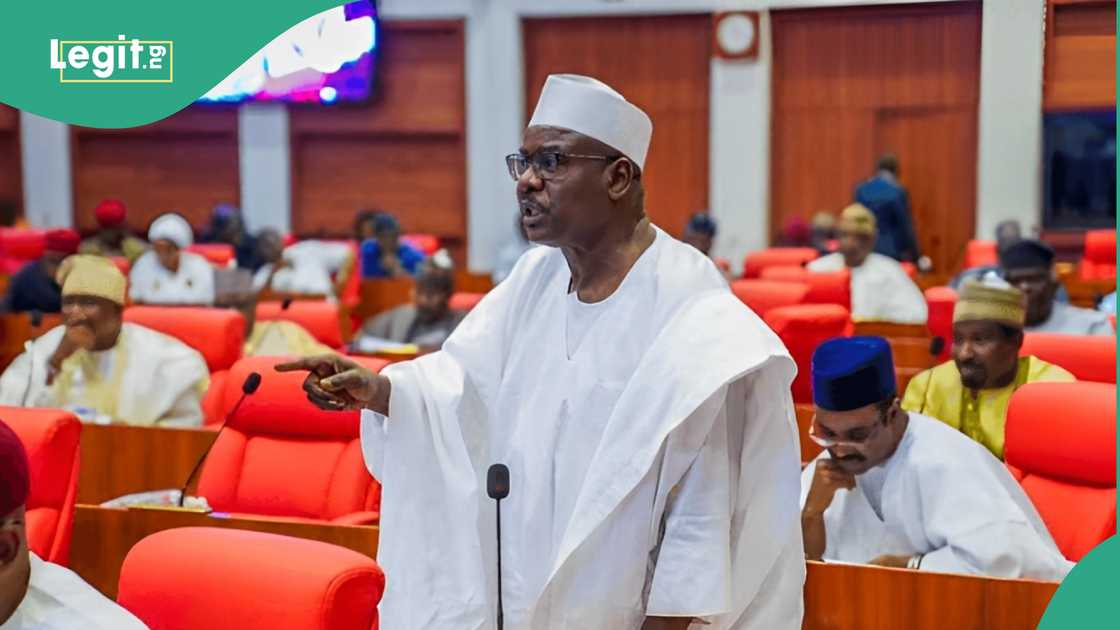 President Bola Tinubu's aide Daniel Bwala speaks on Ali Ndume's latest interview and claims he plotting to join the opposition coalition with Atiku Abubakar and Peter Obi. President Bola Tinubu's aide Daniel Bwala speaks on Ali Ndume's latest interview and claims he plotting to join the opposition coalition with Atiku Abubakar and Peter Obi.
