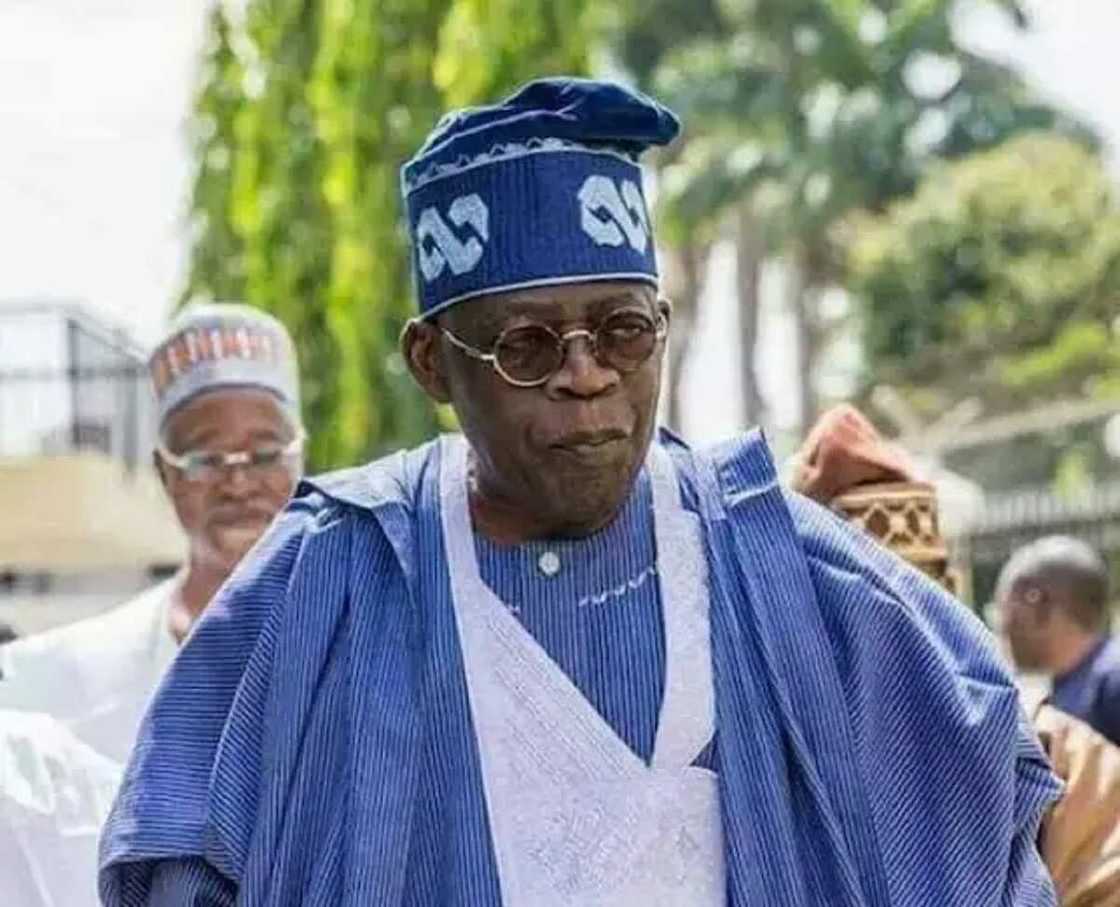 2023: Sunayen fitattun 'yan siyasa 11 na Najeriya da ke goyon bayan Tinubu 2023: Sunayen fitattun 'yan siyasa 11 na Najeriya da ke goyon bayan Tinubu