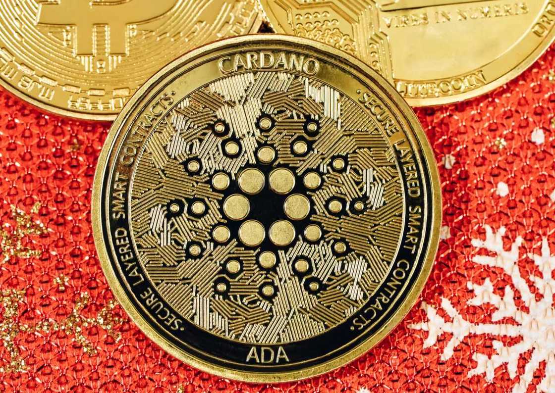 Crypto Market Falling Over 20%, Why We’re Buying More: Cardano (ADA), Fantom (FTM), Quitriam Finance (QTM) Crypto Market Falling Over 20%, Why We’re Buying More: Cardano (ADA), Fantom (FTM), Quitriam Finance (QTM)