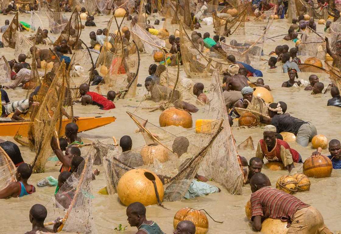 Nigerians have started reacting to the outcome of the Argungu Fishing Festival in Kebbi State.