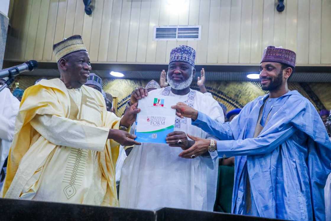 APC, Kano, Ganduje APC, Kano, Ganduje