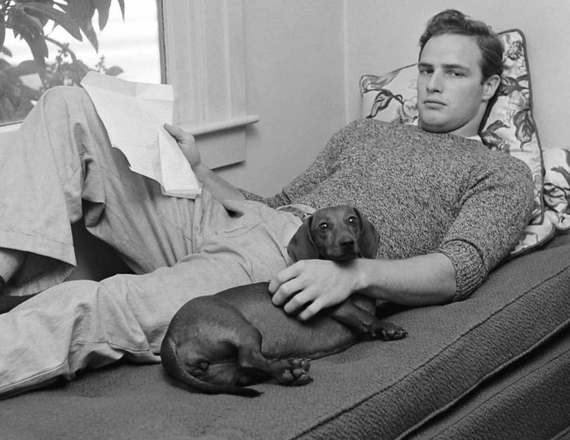 A back and white photo of Marlon Brando posing during the filming of The Men A back and white photo of Marlon Brando posing during the filming of The Men