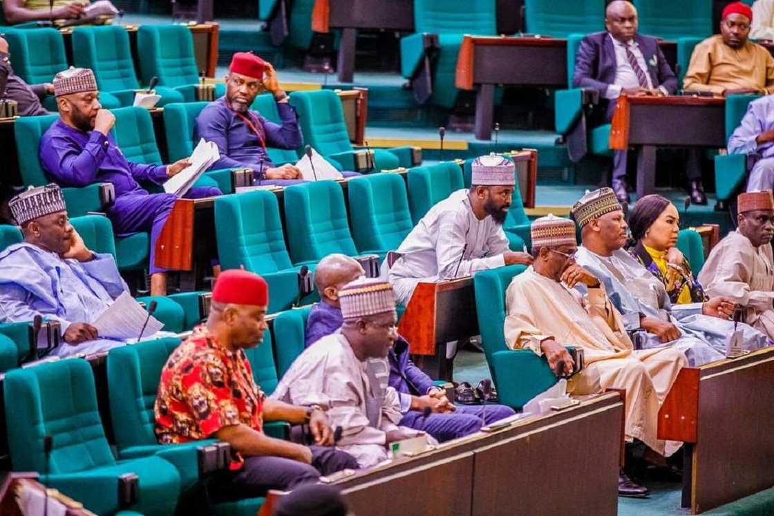 'Dan Majalisa 'Dan Majalisa