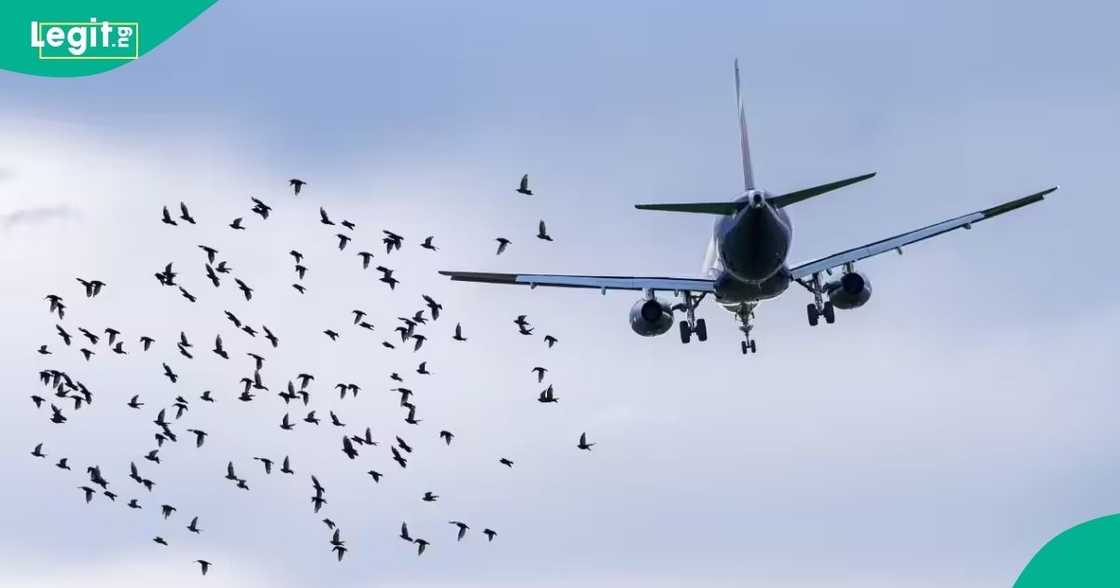 United Nigeria Airlines apologises to affected passengers.