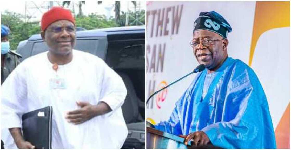 Chimaroke Nnamani, Tinubu Chimaroke Nnamani, Tinubu