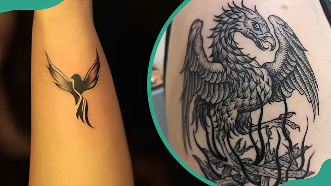 Phoenix tattoos Phoenix tattoos