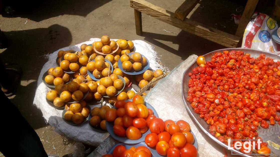 African star apple, tomatoes and pepper on display at a popular market in Lagos. Photo credit: Esther Odili African star apple, tomatoes and pepper on display at a popular market in Lagos. Photo credit: Esther Odili