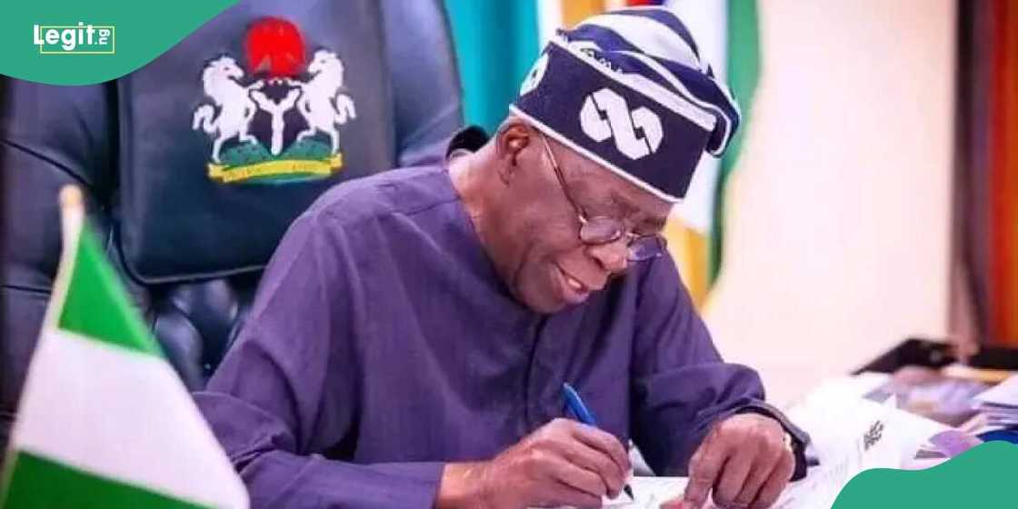 Tinubu makes new appointment after returning from China Tinubu makes new appointment after returning from China