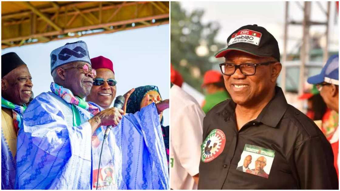 Tinubu/Peter Obi/2023 General Elections Tinubu/Peter Obi/2023 General Elections