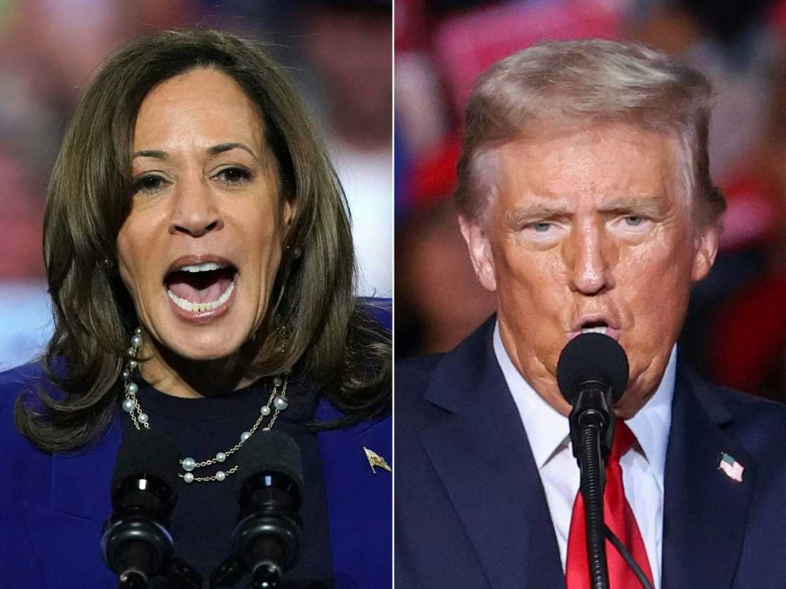 Kamala Harris and Donald Trump have expressed contrasting views over the future of the Fed's independence, with Trump calling for the US president to have 'at least' a say over interest rates Kamala Harris and Donald Trump have expressed contrasting views over the future of the Fed's independence, with Trump calling for the US president to have 'at least' a say over interest rates
