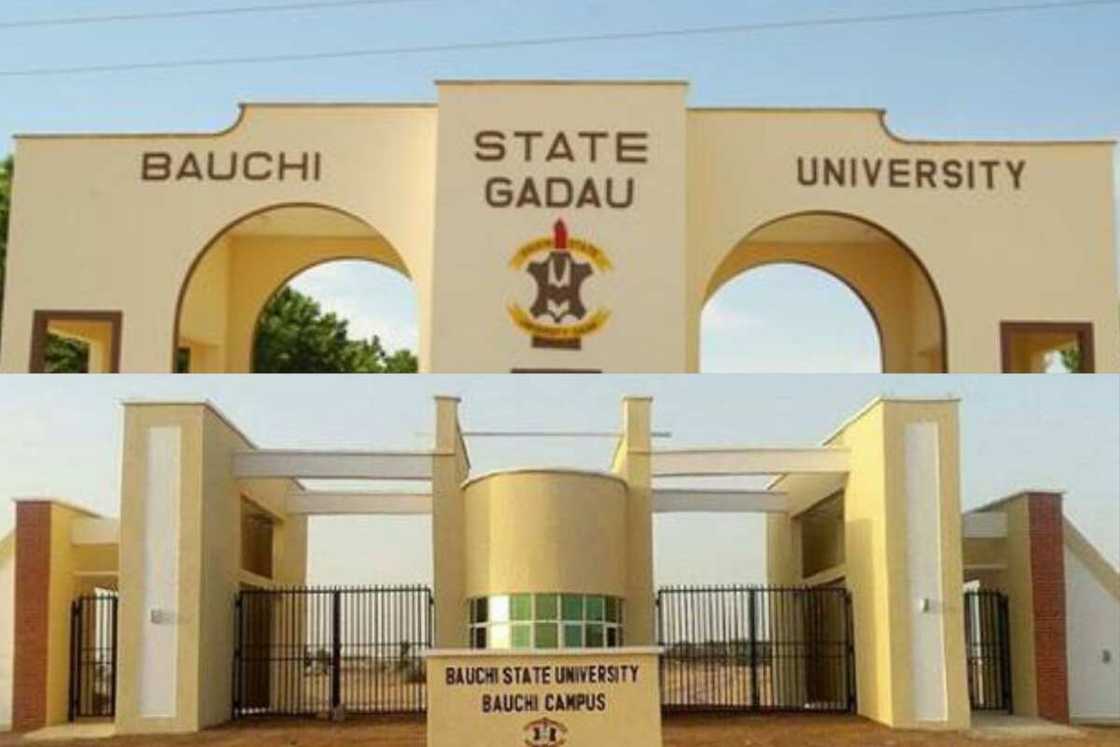 biggest state in Nigeria biggest state in Nigeria