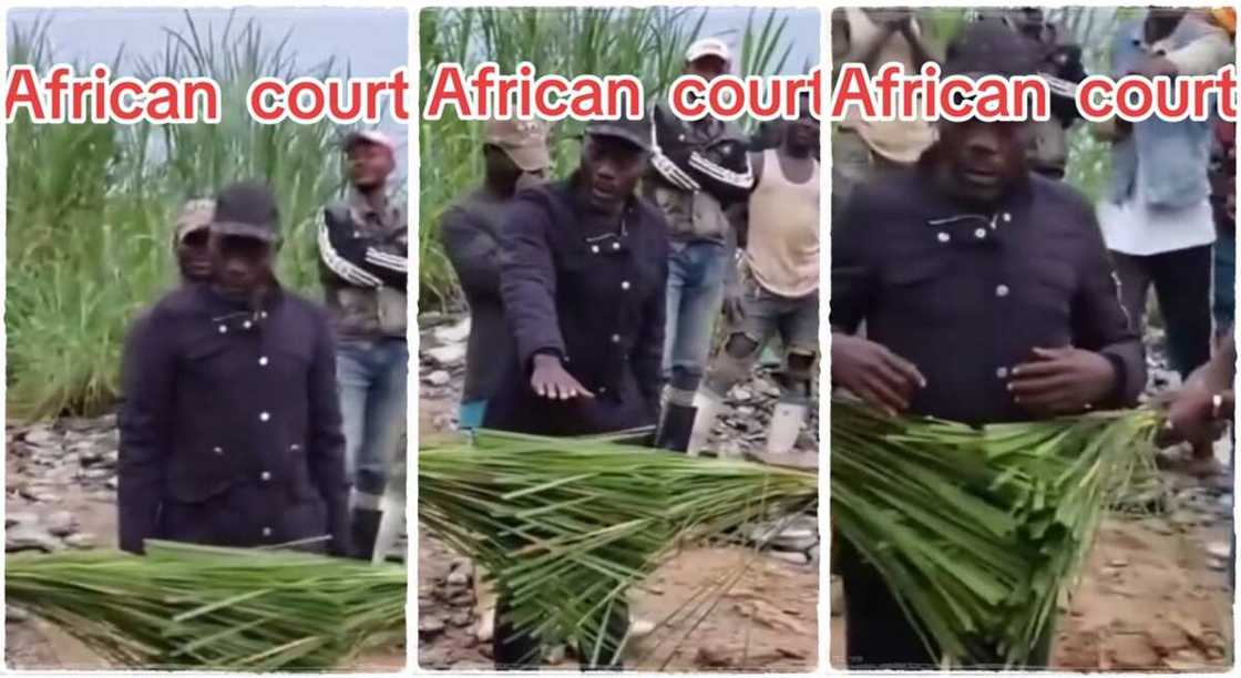 One man caught as people were tested in public using fresh leaves. One man caught as people were tested in public using fresh leaves.