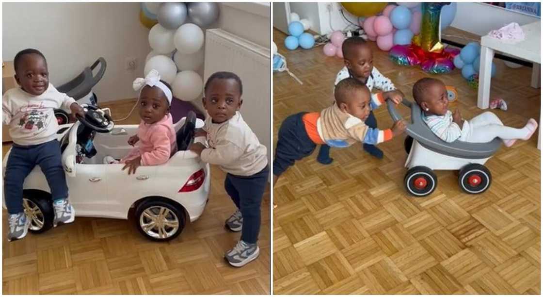 Photos of triplet kids, 1 girl 2 boys. Photos of triplet kids, 1 girl 2 boys.