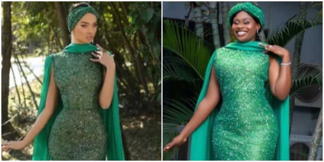 Photo of what a lady ordered and what she got. Photo of what a lady ordered and what she got.