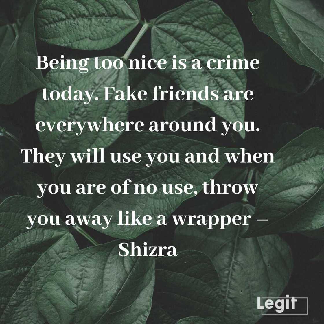 quote for fake people quote for fake people