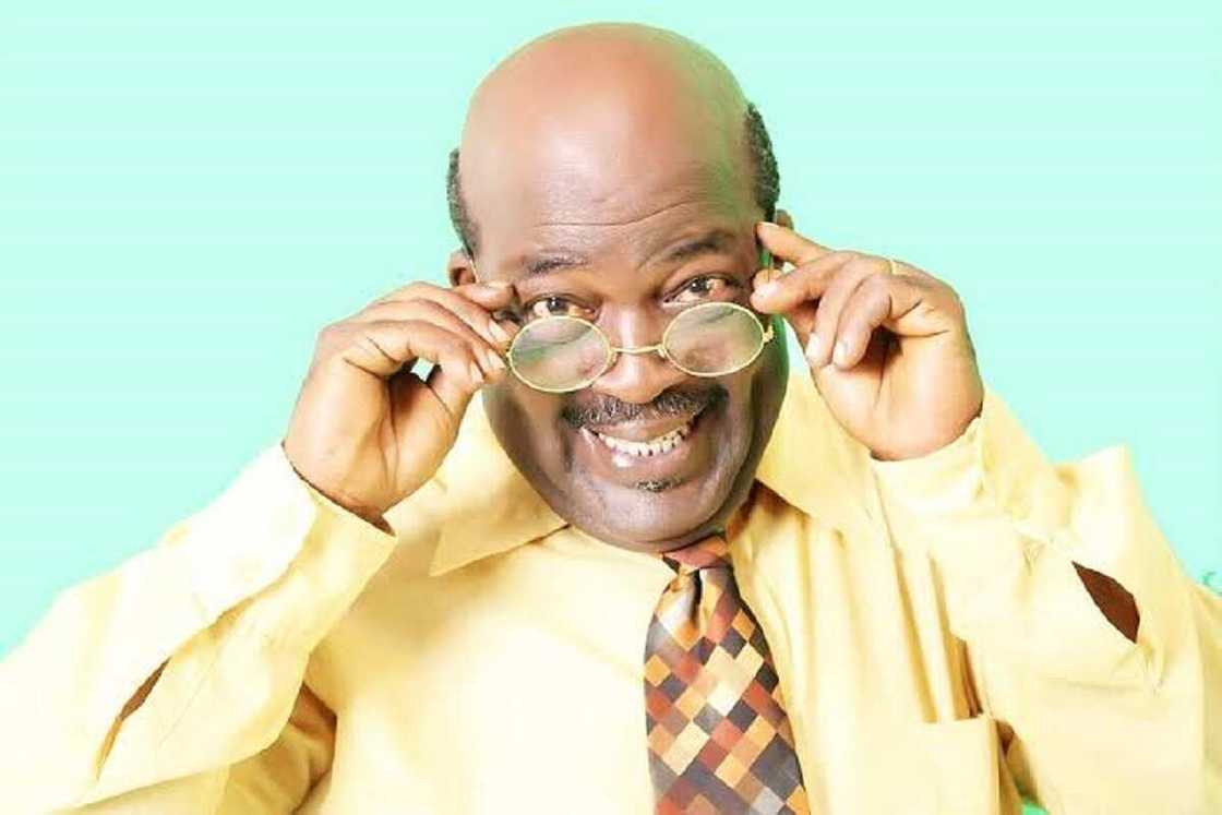 Papa Ajasco Papa Ajasco