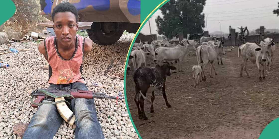 FCT police raid kidnappers den in Abuja, arrest one, recover exhibits FCT police raid kidnappers den in Abuja, arrest one, recover exhibits