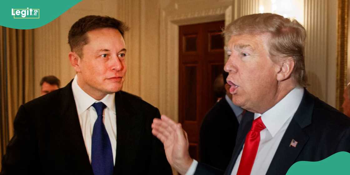 US President Trump considers selling TikTok to Elon Musk