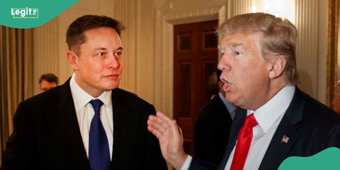 US President Trump considers selling TikTok to Elon Musk US President Trump considers selling TikTok to Elon Musk