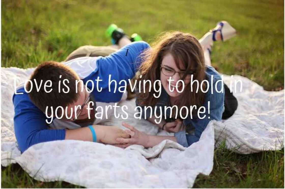 Funny quotes about love Funny quotes about love