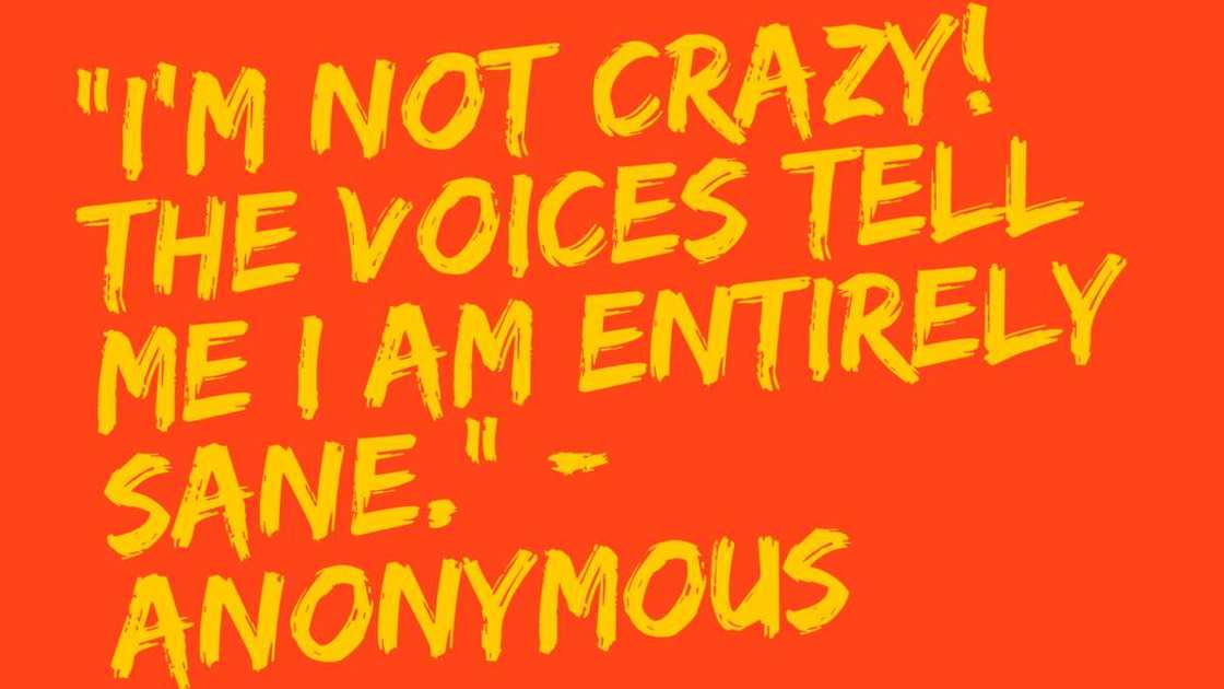 Sarcastic funny quotes Sarcastic funny quotes