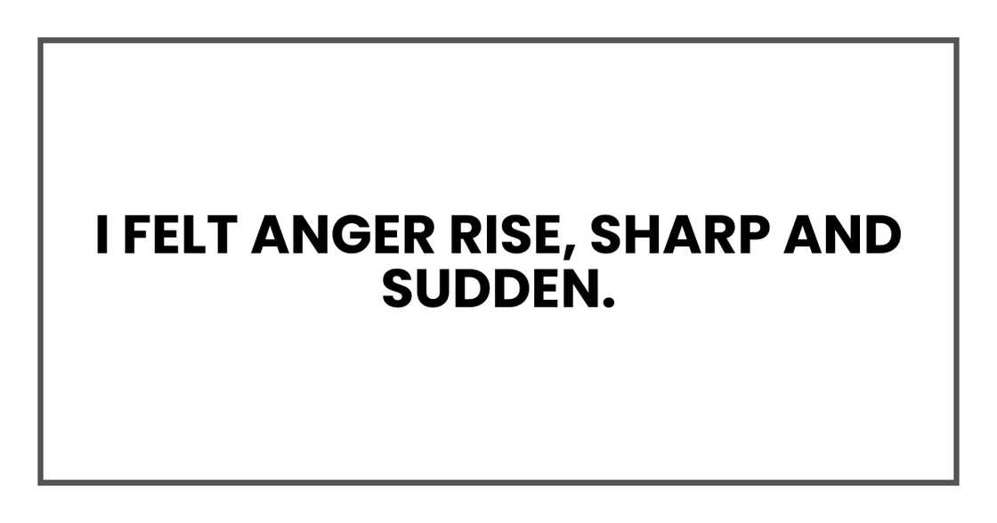 I felt anger rise, sharp and sudden. I felt anger rise, sharp and sudden.