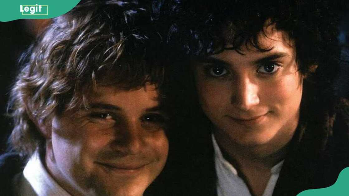 Frodo Baggins and Samwise Gamgee Frodo Baggins and Samwise Gamgee