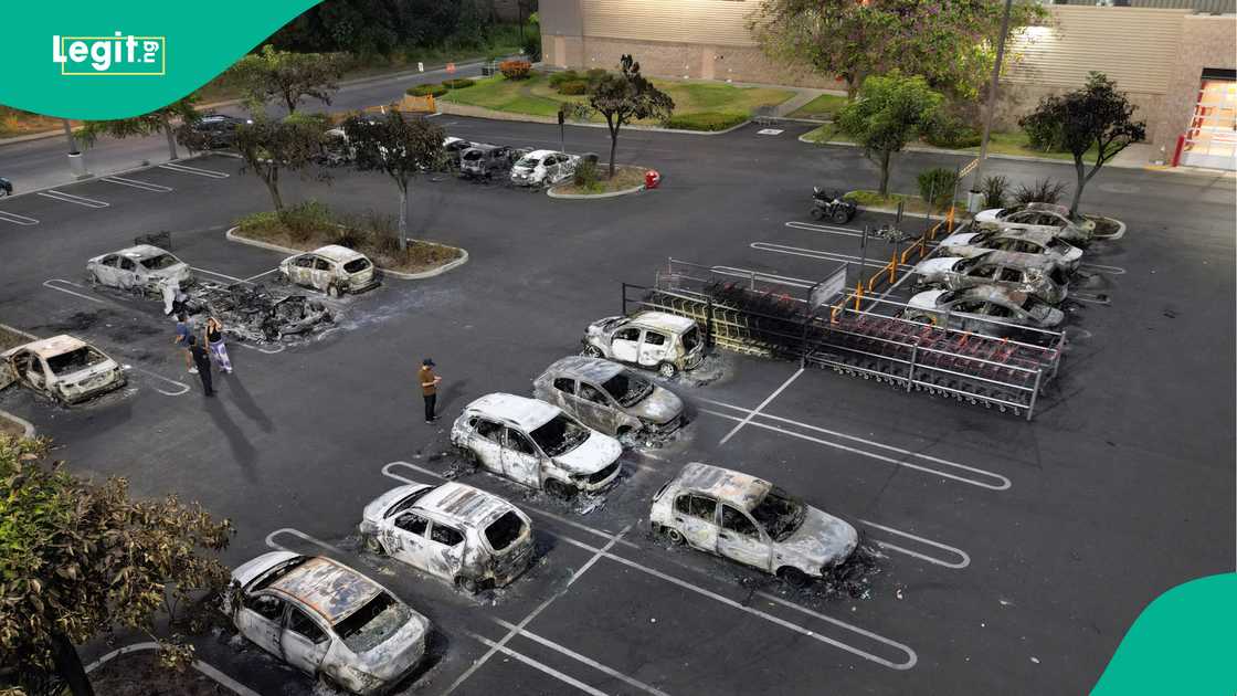 Mexico, CJNG cartel, El Mencho, FIFA, 2026 World Cup.