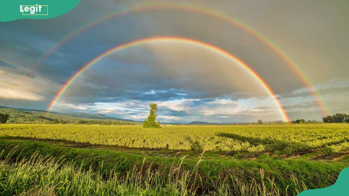 Double rainbow meaning Double rainbow meaning